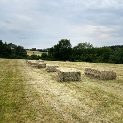 Biologisch produziertes Heu für bestes Galloway Weiderindfleisch auf dem Landgut Pfauenhof in der Eifel