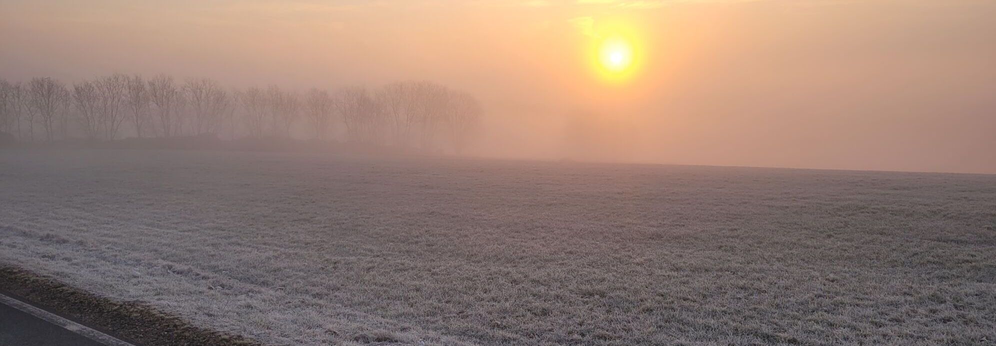 Ein winterliches Feld auf dem Landgut Pfauenhof in der Eifel