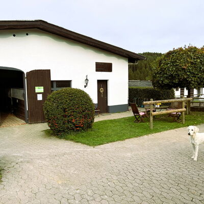 Ansicht eines Pferdestalles auf dem Landgut Pfauenhof in der Eifel
