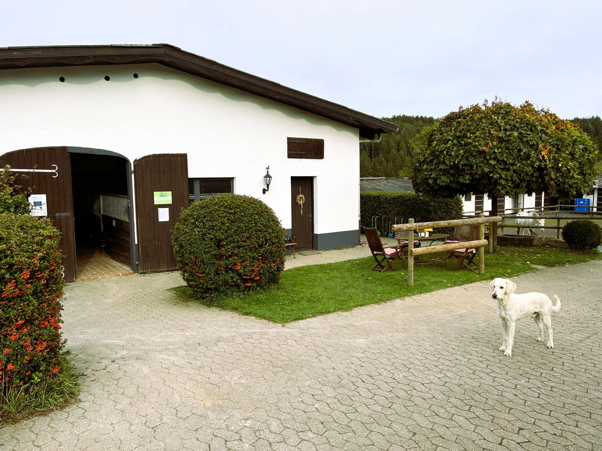 Ansicht eines Pferdestalles auf dem Landgut Pfauenhof in der Eifel