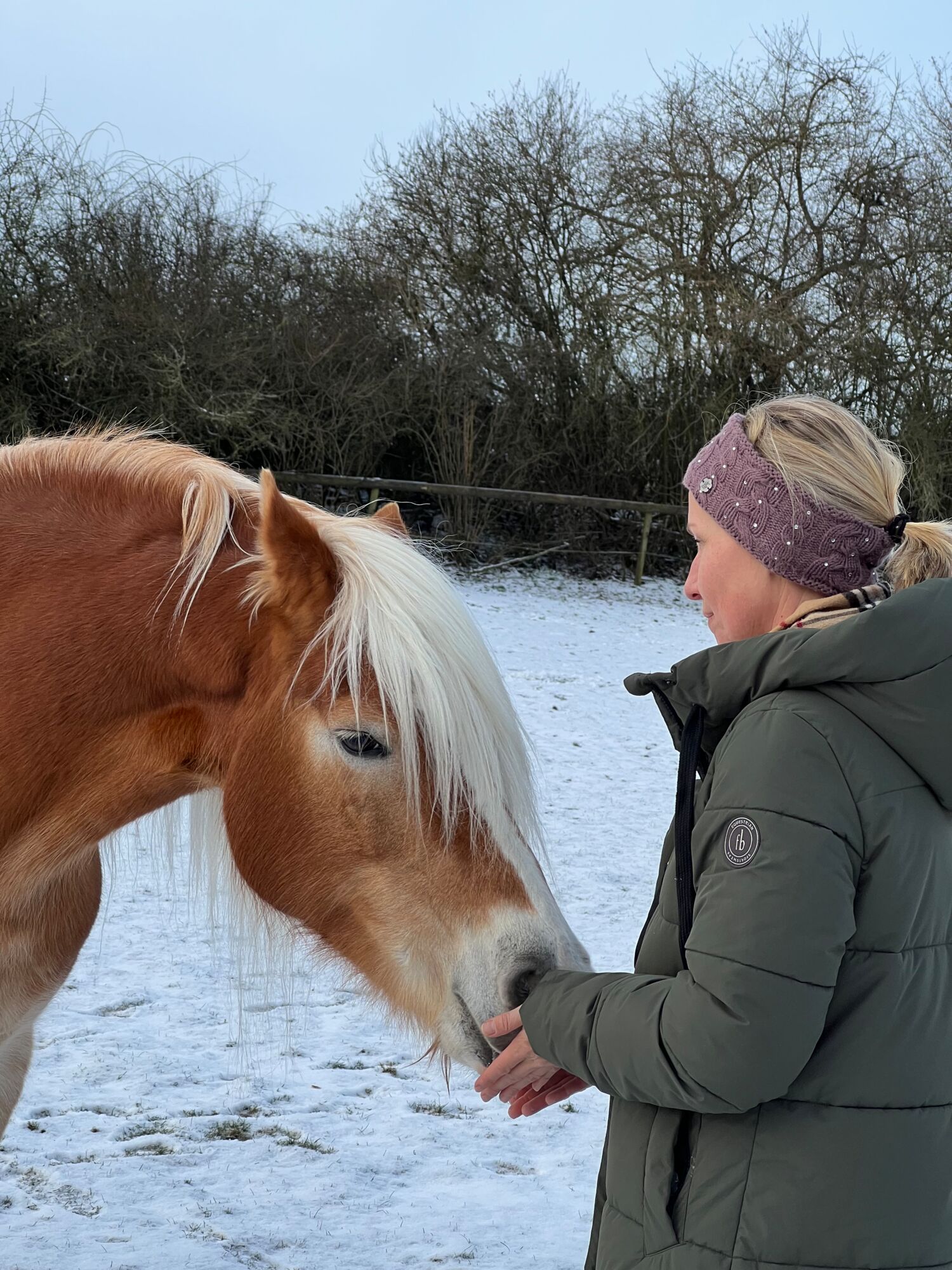 Haflinger Stute Siria schnuppert an Händen der Besitzerin auf dem Landgut Pfauenhof in der Eifel