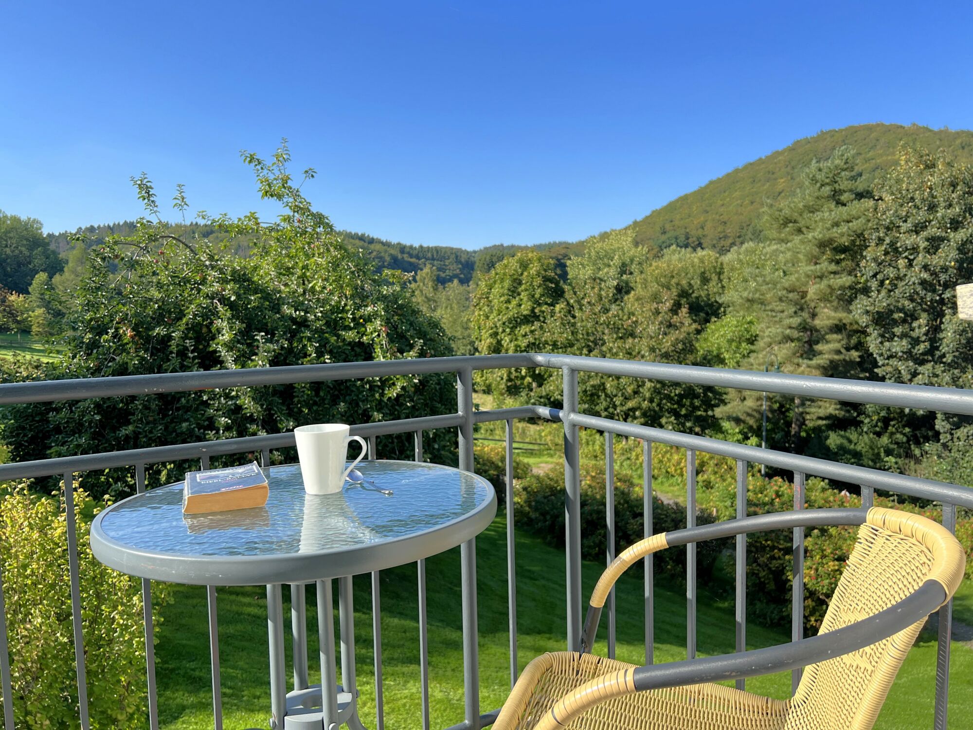 Gemütlicher Sitzplatz einer Ferienwohnung mit Blick in das Grüne auf dem Landgut Pfauenhof in der Eifel
